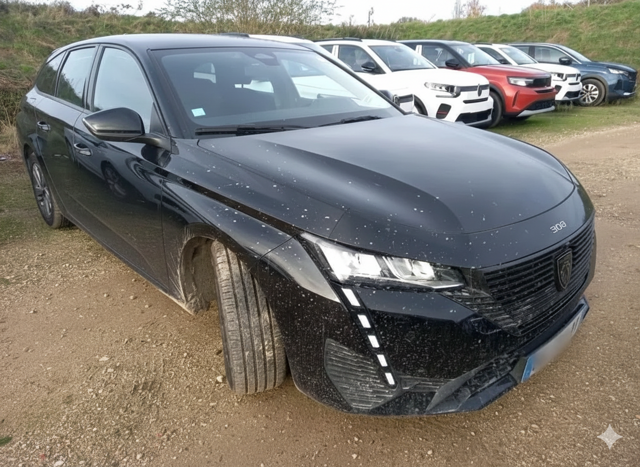 Gemini_Generated_Image_ui4rpjui4rpjui4r